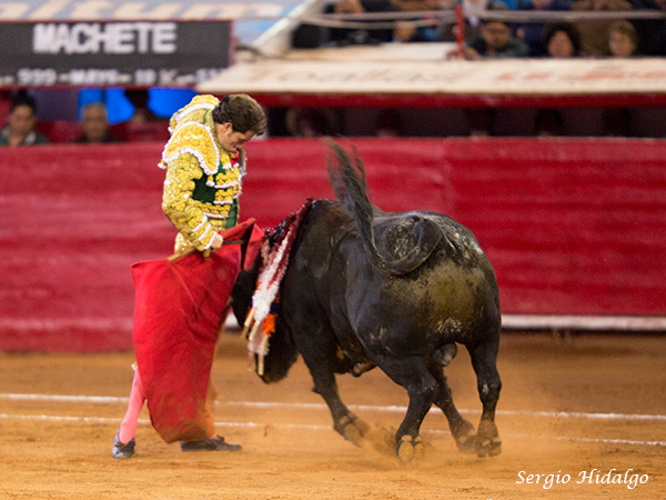 En la querencia del toro