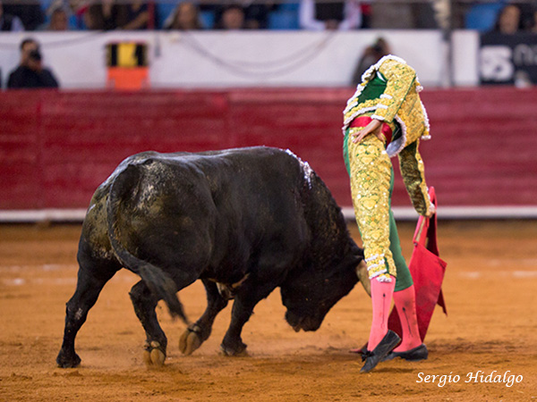 Templando la embestida