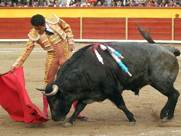 Templando el muletazo