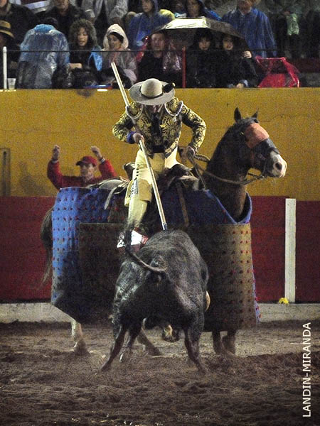 Vara de Curro Campos