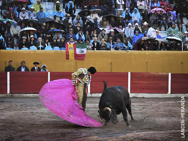 Revolera en los medios