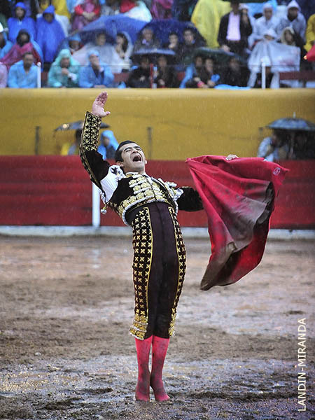 Euf�rico en el barrizal