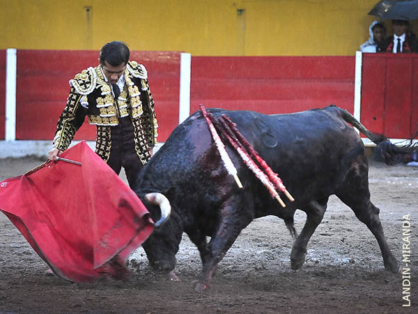 Determinaci�n en las formas