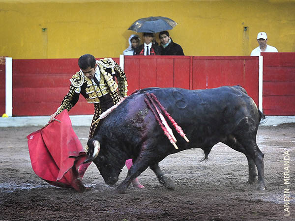 Cuaj� una faena luminosa