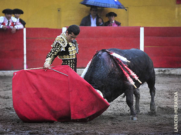 Metido en la canasta