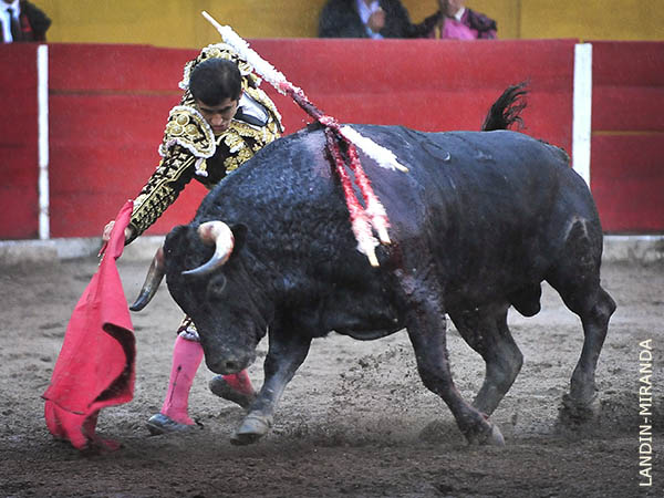 Picoso y con recorrido