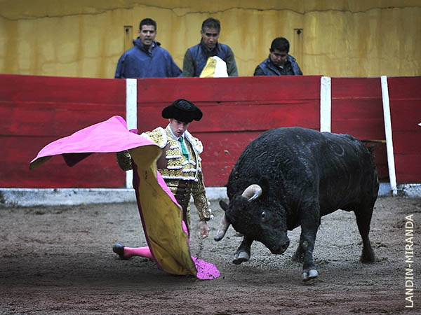 Belleza y pl�stica