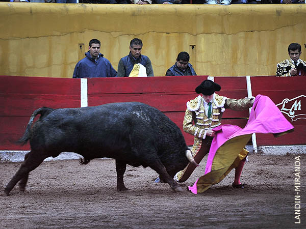 Ver�nicas rodilla en tierra