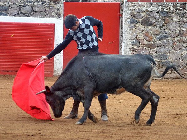 Alejandro Fern�ndez