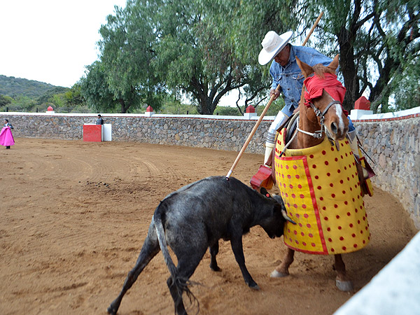 C�tedra de Nacho Mel�ndez