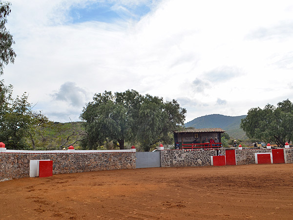 Belleza de tentadero