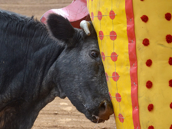 Empujando en el peto