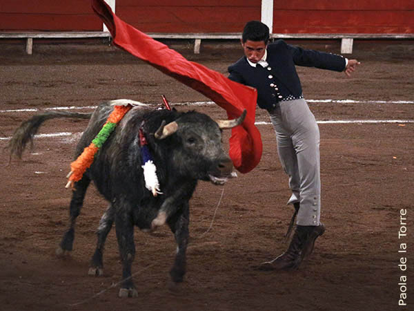 Detalles de buen toreo