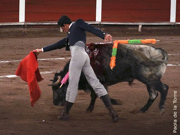 Aprovech� a cabalidad