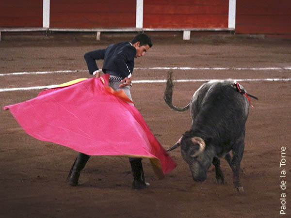 Revolera en los medios