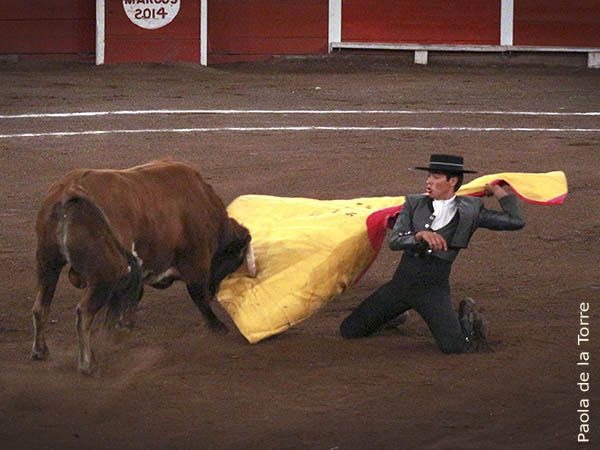 Pastor, en la boca del riego