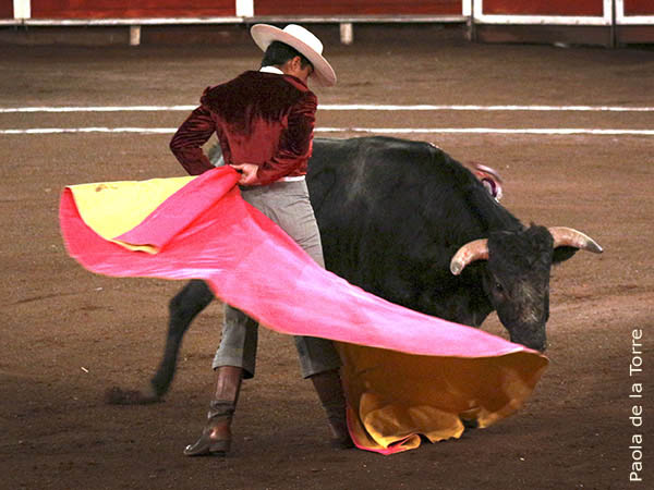 La revolera de Fabi�n