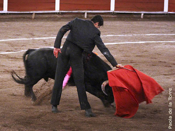 Efr�n Rosales, primer espada