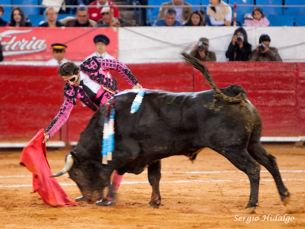 Siempre buscando el triunfo