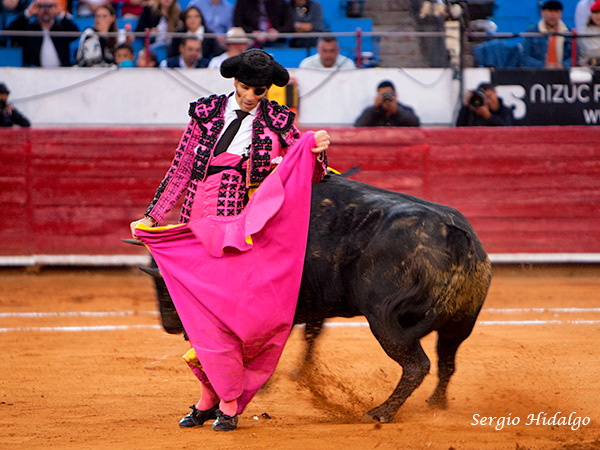 Ejemlo de profesionalismo