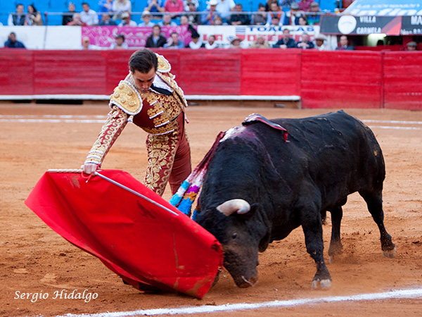 Buenos muletasos por derecha