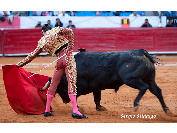 �Que falta para triunfar en M�xico?