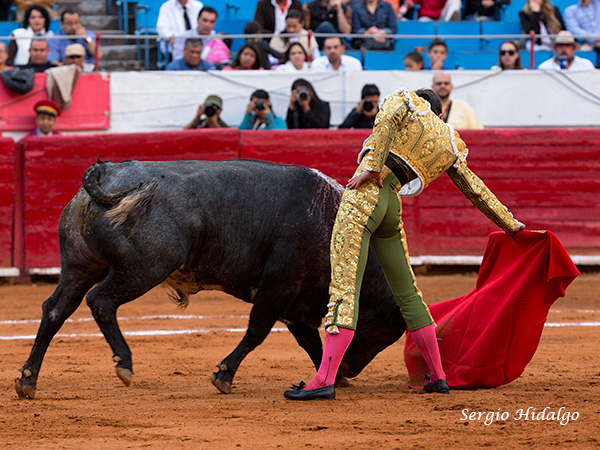 Templando la embestida
