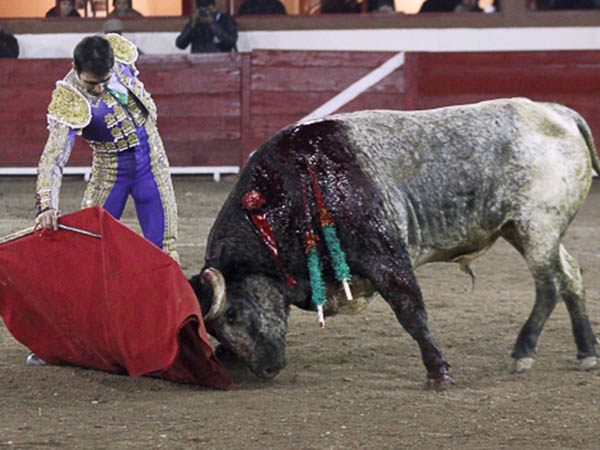 Buen juego del c�rdeno