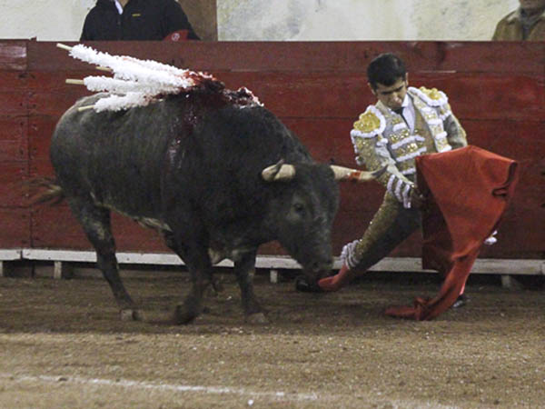 Doblones al hilo de las tablas