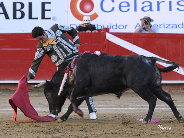 Noble en la embestida