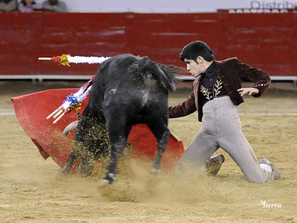 Faena de altos vuelos