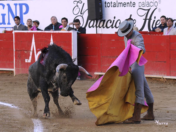 El saludo de G�mez Vega