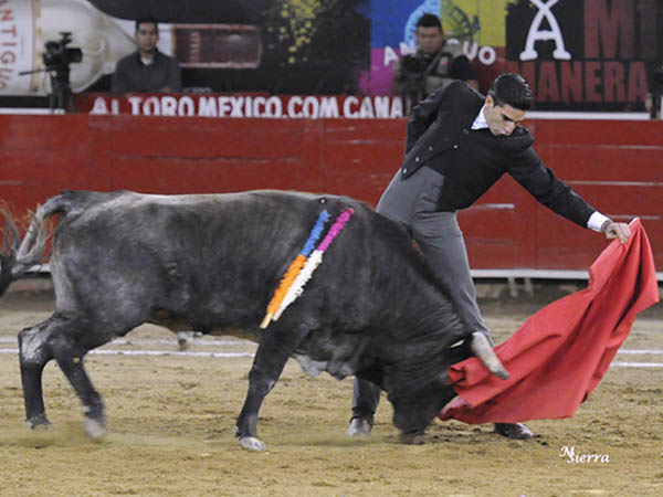 Metido en la canasta