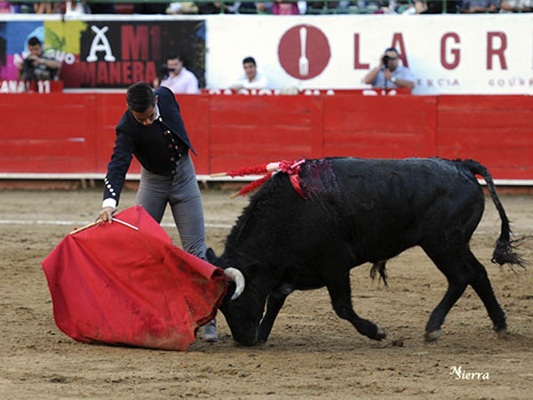 La nobleza del ejemplar