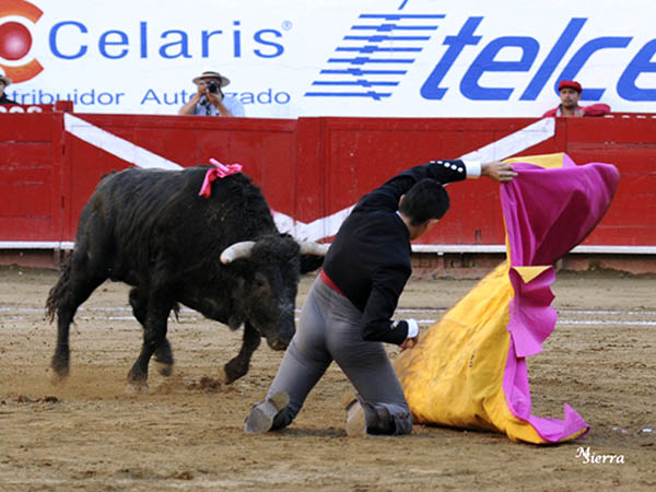 Larga de Carlos Casanueva