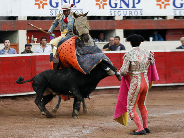 Morucho, capeando el temporal