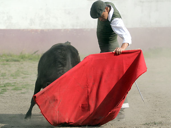 Acariciando la embestida