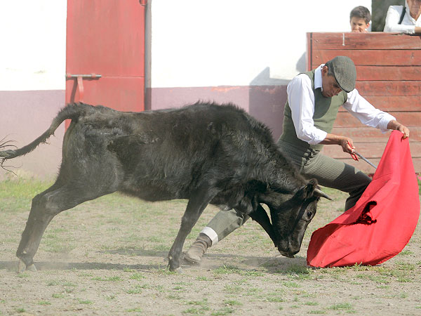 Haci�ndose de la vaca