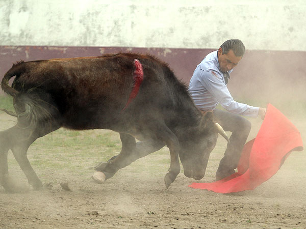 Zotoluco tento 6 vacas