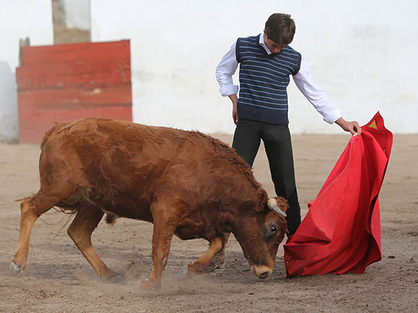 Espera gustar en La M�xico