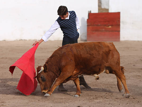 Motivado y cargado de ilusiones