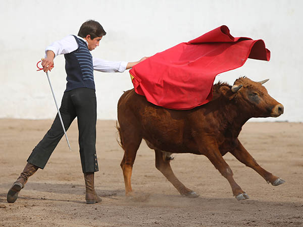 Abrochando al colorado