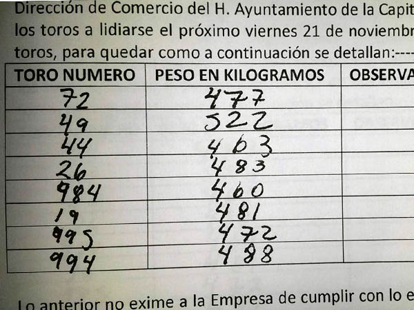 La rese�a de los toros al llegar