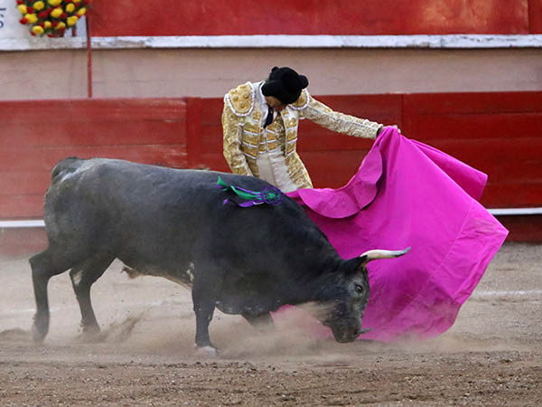 Flores y el cierraplaza