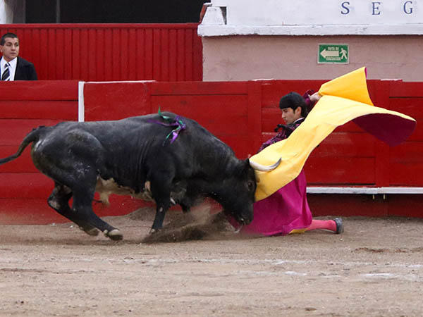 Larga de hijojos de �liver Godoy