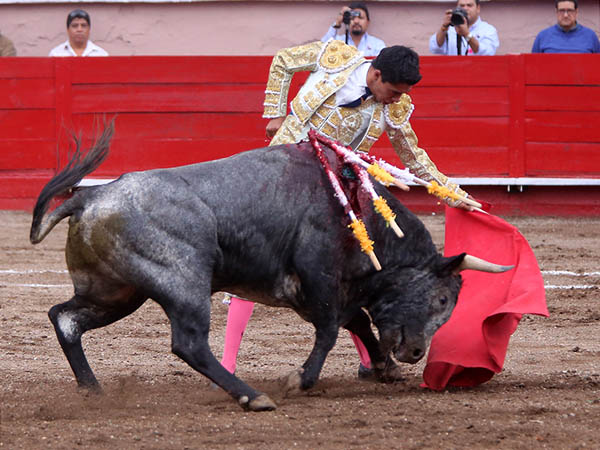 Mando y determinaci�n