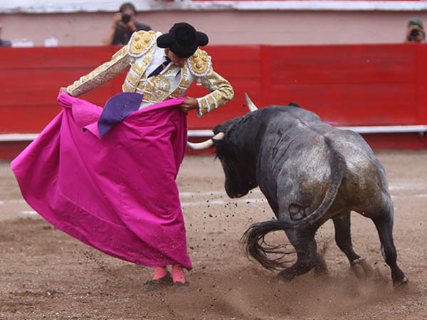 Saludo en los medios