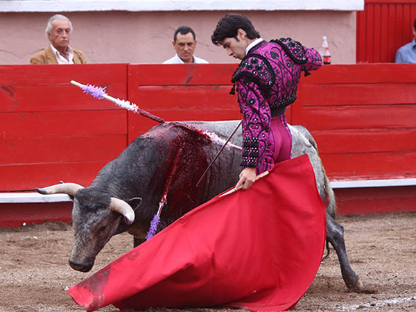 Desmayando el enga�o