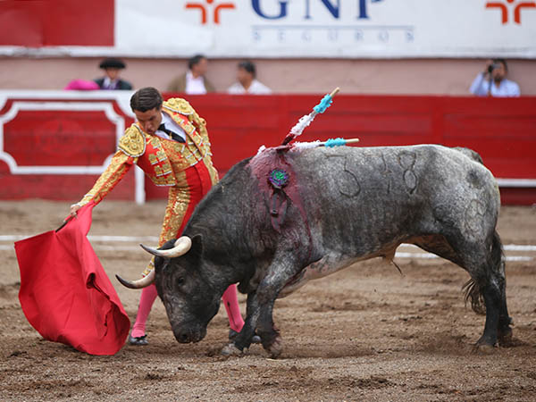 Faena por el lado derecho