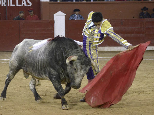 Naturales largos y templados